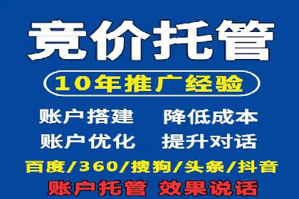 搜索引擎营销（SEM）的创意与执行——以多个行业成功案例为教学